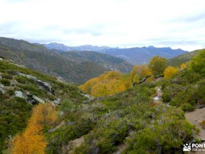 Babia-Puente Santos Noviembre; rutas senderismo sierra madrid viajar en año nuevo cascadas del aljib